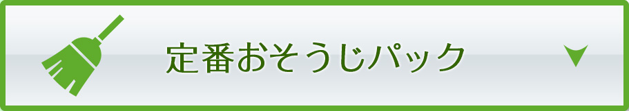 定番おそうじパック