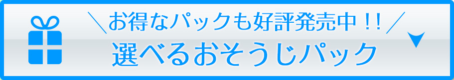 選べるおそうじパック
