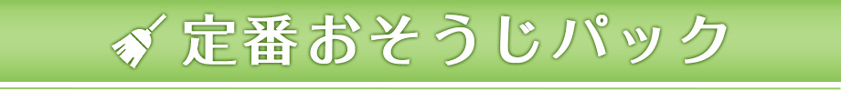 定番おそうじパック