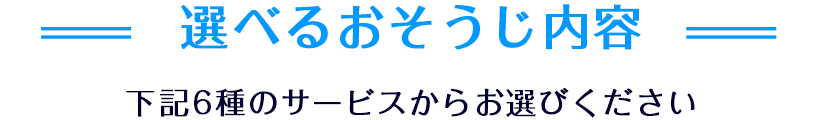 選べるおそうじ内容